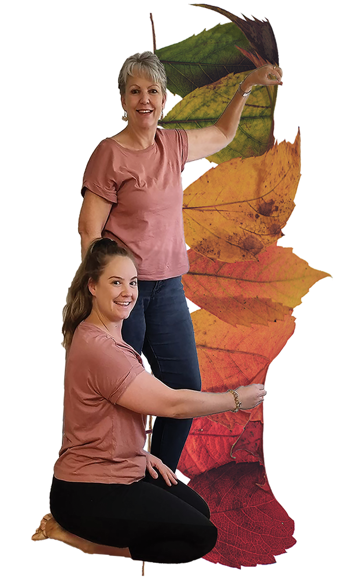 Changing Seasons Turn over a new leaf